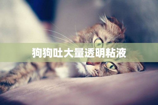 狗狗吐大量透明粘液