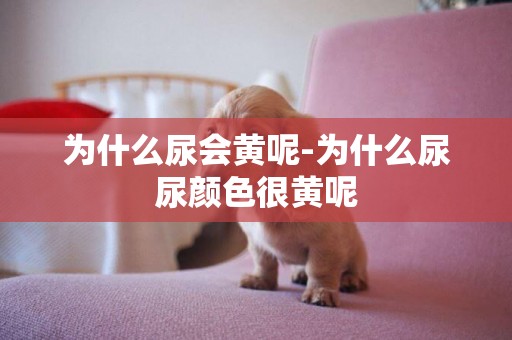 為什么尿會黃呢-為什么尿尿顏色很黃呢