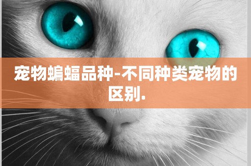 寵物蝙蝠品種-不同種類寵物的區別.