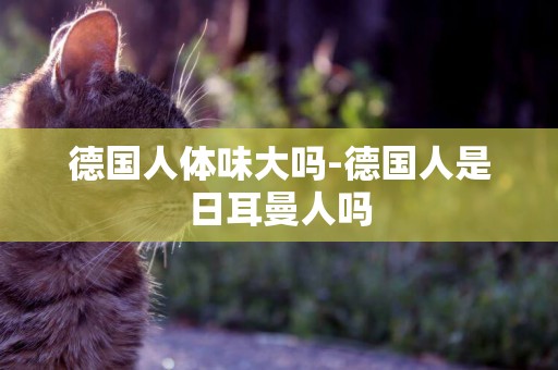 德國人體味大嗎-德國人是日耳曼人嗎