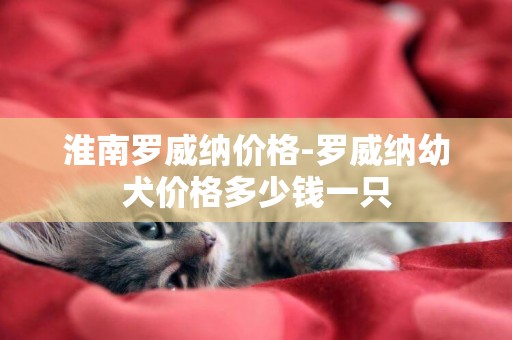淮南羅威納價格-羅威納幼犬價格多少錢一只