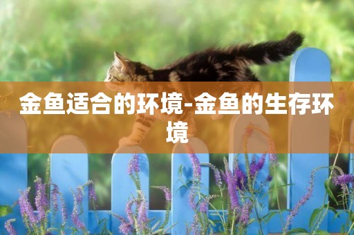 金魚適合的環境-金魚的生存環境