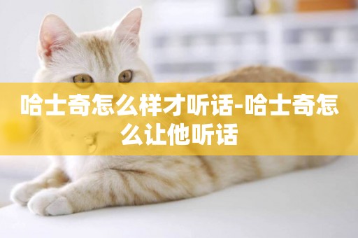 哈士奇怎么樣才聽話-哈士奇怎么讓他聽話