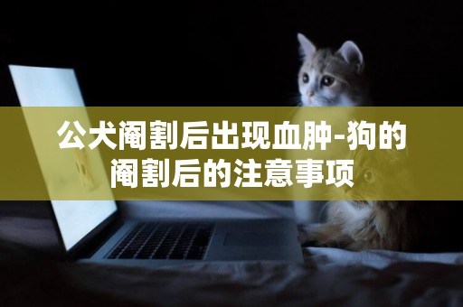 公犬閹割后出現血腫-狗的閹割后的注意事項