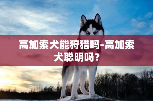 高加索犬能狩獵嗎-高加索犬聰明嗎？