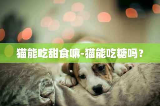 貓能吃甜食嘛-貓能吃糖嗎？