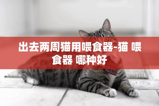 出去兩周貓用喂食器-貓 喂食器 哪種好