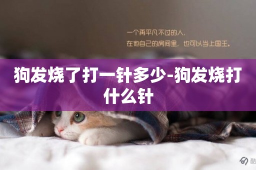 狗發燒了打一針多少-狗發燒打什么針