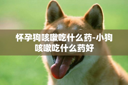 懷孕狗咳嗽吃什么藥-小狗咳嗽吃什么藥好