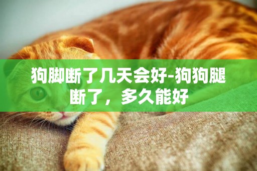 狗腳斷了幾天會好-狗狗腿斷了，多久能好