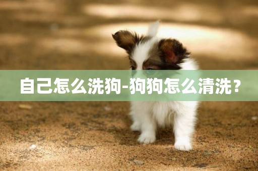 自己怎么洗狗-狗狗怎么清洗？