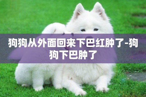狗狗從外面回來下巴紅腫了-狗狗下巴腫了