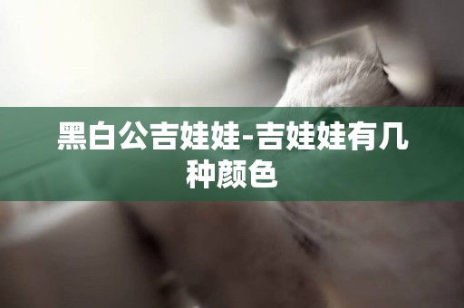 黑白公吉娃娃-吉娃娃有幾種顏色
