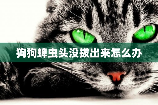 狗狗蜱蟲頭沒拔出來怎么辦