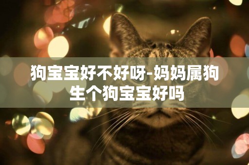狗寶寶好不好呀-媽媽屬狗 生個狗寶寶好嗎