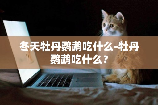 冬天牡丹鸚鵡吃什么-牡丹鸚鵡吃什么？