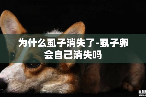 為什么虱子消失了-虱子卵會自己消失嗎