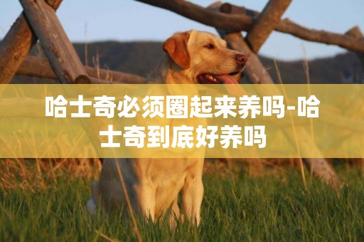 哈士奇必須圈起來養嗎-哈士奇到底好養嗎