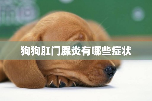 狗狗肛門腺炎有哪些癥狀