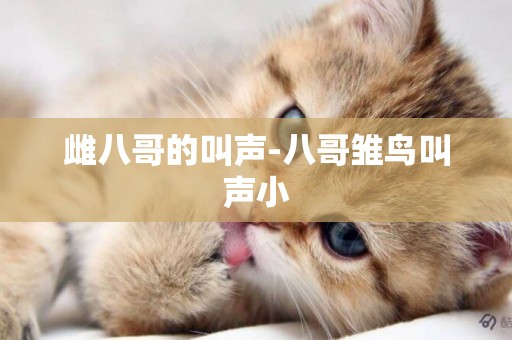 雌八哥的叫聲-八哥雛鳥叫聲小