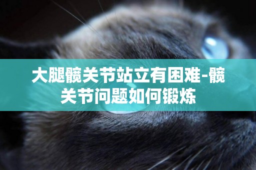 大腿髖關節站立有困難-髖關節問題如何鍛煉