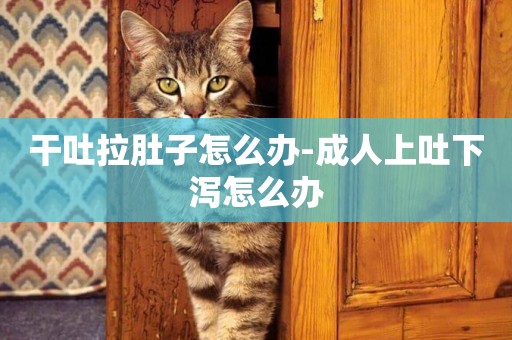 干吐拉肚子怎么辦-成人上吐下瀉怎么辦