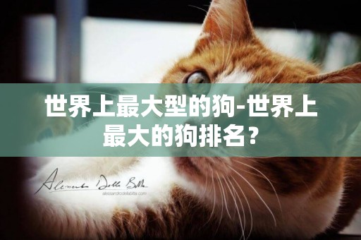 世界上最大型的狗-世界上最大的狗排名？
