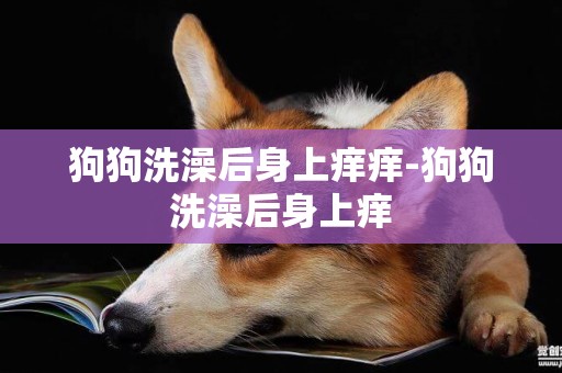 狗狗洗澡后身上癢癢-狗狗洗澡后身上癢
