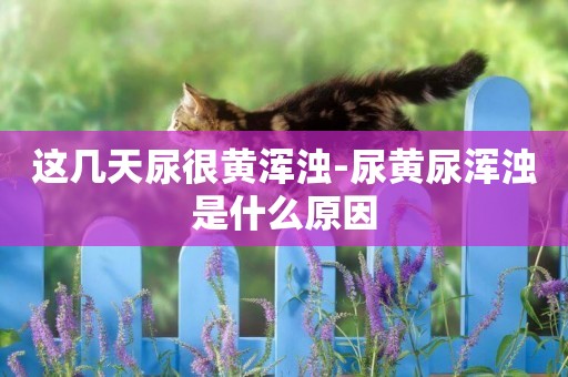 這幾天尿很黃渾濁-尿黃尿渾濁是什么原因