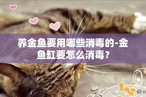 養金魚要用哪些消毒的-金魚缸要怎么消毒？