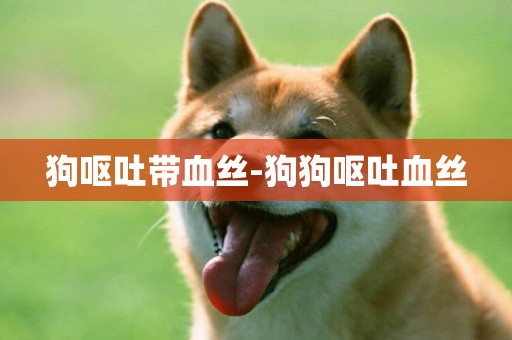 狗嘔吐帶血絲-狗狗嘔吐血絲
