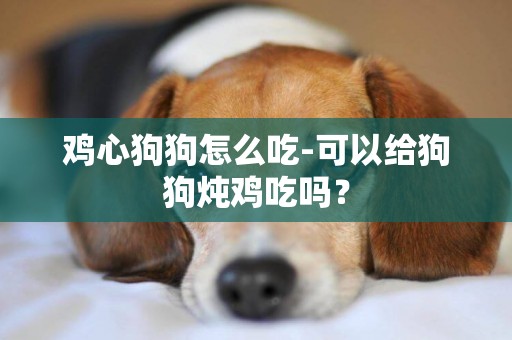 雞心狗狗怎么吃-可以給狗狗燉雞吃嗎？