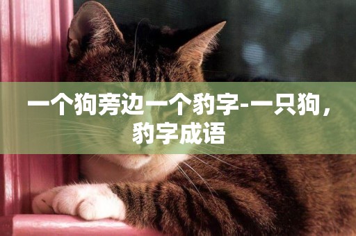 一個狗旁邊一個豹字-一只狗，豹字成語