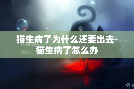 貓生病了為什么還要出去-貓生病了怎么辦
