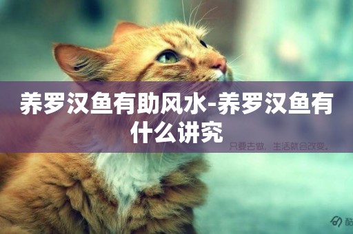 養羅漢魚有助風水-養羅漢魚有什么講究
