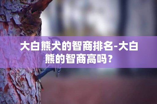 大白熊犬的智商排名-大白熊的智商高嗎？