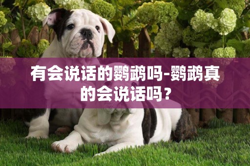 有會說話的鸚鵡嗎-鸚鵡真的會說話嗎？