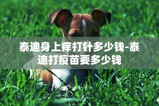 泰迪身上癢打針多少錢-泰迪打疫苗要多少錢