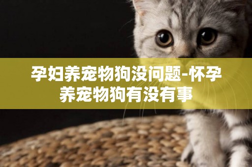孕婦養寵物狗沒問題-懷孕養寵物狗有沒有事