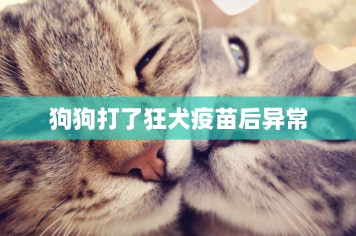 狗狗打了狂犬疫苗后異常