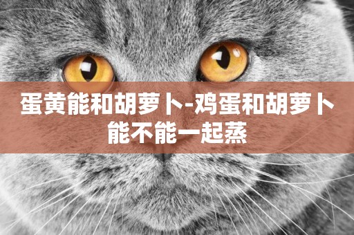 蛋黃能和胡蘿卜-雞蛋和胡蘿卜能不能一起蒸