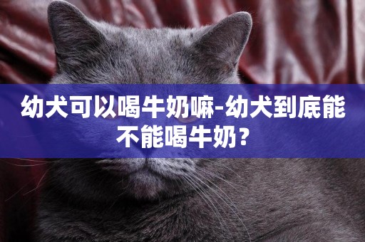 幼犬可以喝牛奶嘛-幼犬到底能不能喝牛奶？