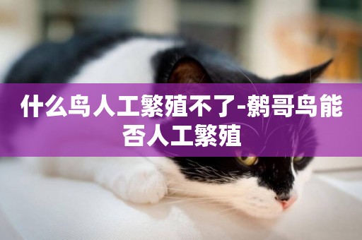 什么鳥人工繁殖不了-鷯哥鳥能否人工繁殖