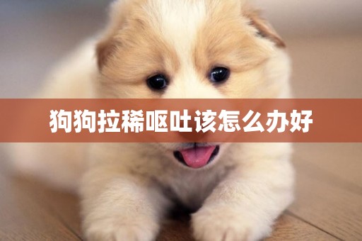狗狗拉稀嘔吐該怎么辦好