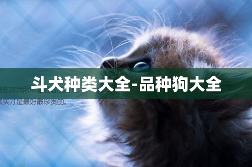 斗犬種類大全-品種狗大全