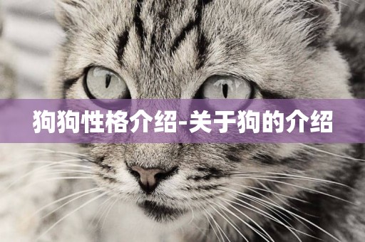狗狗性格介紹-關于狗的介紹
