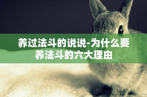 養過法斗的說說-為什么要養法斗的六大理由