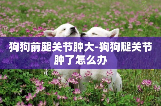 狗狗前腿關節腫大-狗狗腿關節腫了怎么辦