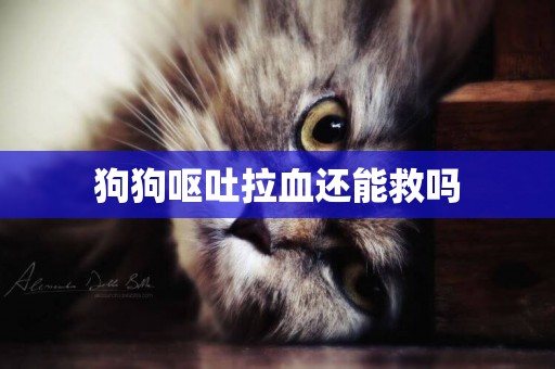 狗狗嘔吐拉血還能救嗎