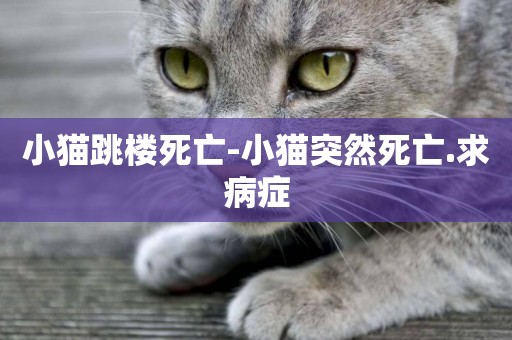 小貓跳樓死亡-小貓突然死亡.求病癥